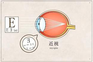 半岛综合官方app下载安装截图4